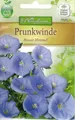 Produktbild: 5620 Prunkwinde 'Blauer Himmer' Ipomoeatricolor Ranker/ Kletterer Samen