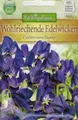Produktbild: 5625 Wohlriechende Edelwicke 'Cuthbertson Danny' Lathyrus  rankend Samen