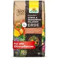 Produktbild: Neudorff Zitrus- und Mediterranpflanzenerde Neudohum 20 l