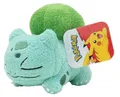Produktbild: Pokemon Schlafendes Plüsch ca 12,5cm