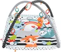 Produktbild: Fisher-Price® Spielbogen mit Spieldecke, mit Licht und Sound