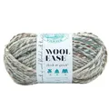 Produktbild: Lion Brand Yarn Company 640-542 Wool-Ease dickes und schnelles Garn, Seeglas, 1 Knäuel