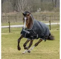 Produktbild: Bucas Pferde-Regendecke Bucas Anniversary Turnout Light SD 0g - Black/Silver