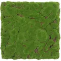 Produktbild: Jangal Akustikpaneel Modular Wall System Design Moos, Hellgrün, Naturmaterialien, 52x52x2.6 cm, Handmade Quality, Montage ohne Bohren, Tapeten & Wandverkleidungen, Akustikpaneele