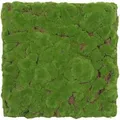 Produktbild: Jangal - Modular Wall Akustik 3d Paneele 520 X 520 Mm Forest Green Bulk Design Moos Kunst Pflanzwand Moospaneele