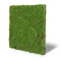 Produktbild: JANGAL Modular Wall Design Moos Paneel (52 x 52 cm), Modulares Wandpaneel, mit recyceltem PET-Filz, zum Kleben oder Schrauben, Wandverkleidung, Wand Deko, Mooswand (Forest Green Bulk)