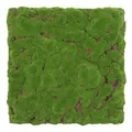 Produktbild: JANGAL Modular Wall Pflanzenwand  520 x 520 mm Design Moos Forest Green Bulk