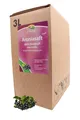 Produktbild: BLEICHHOF® Aroniasaft - Direktsaft, vegan, Bag-in-Box (1x3l)