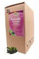 Produktbild: Bleichho Aroniasaft – 100% Direktsaft, Bag-in-Box mit Zapfsystem (3l Saftbox)