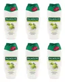 Produktbild: Duschcreme Palmolive Naturals Olive & Milch , 6x250ml EAN8714789732886