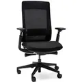 Produktbild: Yaasa Chair Essential Bürostuhl Ergonomisch, Schwarz – Traglast 130 kg – Regulierbare Lordosenstütze – 3D-Armlehnen – Anpassbare Rückenl... - Schwarz