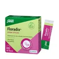 Produktbild: Floradix Eisen Sticks
