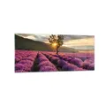 Produktbild: Wandbilder 120x50cm Glasbild Lavendel Berge Feld Groß Bilder Art Wanddeko