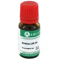 Produktbild: Arnica Arcana Lm 6 Dilution