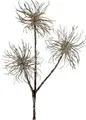 Produktbild: Zaubernuss Zweig Deko-Kunstpflanze Champagner 45cm Set 3 Stück Winter-Weihnachtsdeko