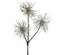 Produktbild: Winterliche Kunstpflanze Zaubernuss Zweig Deko-Kunstpflanze Champagner 45cm Set 3 Stück, Viana, Höhe 1 cm