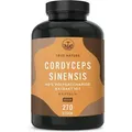 Produktbild: Cordyceps Sinensis (CS-4 Extrakt) - 270 Kapseln mit 40% Polysacchariden - Hochdosierter Vitalpilz - 1000 mg Tagesdosis - Vegan & Deutsche Produktio...