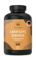 Produktbild: TRUE NATURE® Cordyceps Sinensis Kapseln 10:1 Extrakt - 40% bioaktive Polysaccharide - Vegan