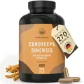 Produktbild: Cordyceps Kapseln hochdosiert - 270 Stück - 19.500mg pro Tag (10:1 Extrakt) - mit 40% bioaktiven Polysacchariden - Vegan - TRUE NATURE