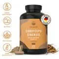 Produktbild: Cordyceps Sinensis (10:1 Extrakt) - 270 Kapseln (650 mg) - Vegan - TRUE NATURE®