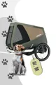 Produktbild: Croozer Fahrradhundeanhänger Dog Enna Hundeanhänger. Für Hunde bis 35 kg., Komfortable Stehhöhe Frontbereich, für alte und kranke Hunde geeignet