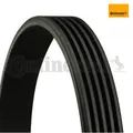 Produktbild: Keilrippenriemen CONTINENTAL CTAM 5PK736 für Rover 45 400 75