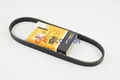 Produktbild: Riemen Keilrippenriemen Citroen,Land Rover,Lotus,Porsche,Rover CONTITECH 5PK736
