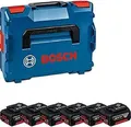 Produktbild: Bosch Professional Akku-Paket 6x GBA 18V 4.0Ah (L) (1600A02A2S)