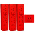 Produktbild: Schwarzkopf Igora Royal 3 x 60 ml 5-6 hellbraun schoko Haarfarbe Cremefarbe Set