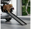 Produktbild: Mucola Hunderampe Hunderampe klappbar Teleskop Einstiegshilfe Hundetreppe Tiertreppe (Stück, 1-St., Rampe), belastbar bis 90 kg