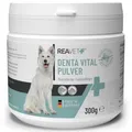 Produktbild: ReaVET Denta Vital Zahnpflege Pulver Hund & Katzen 300g - Zahnsteinentferner, Mittel gegen Zahnstein Hund Katze I Gegen Mundgeruch bei Hunden, Zahnpflege Katzen