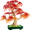 Produktbild: LEGO 10348 - LEGO Botanicals - Japanischer Roter Ahorn