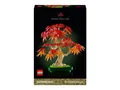 Produktbild: LEGO Botanicals 10348 Japanischer Roter Ahorn – Bonsai-Baum NEU & OVP
