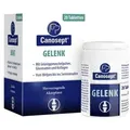 Produktbild: Canosept Gelenk Tabletten f.Hunde 20 St