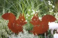 Produktbild: LB H&F Lilienburg 2er Set Gartenstecker Herbst Gartendeko Herbstdeko Rost Deko Edelrost Roststecker Metall (Eichhörnchen Set)