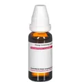 Produktbild: ALLIUM CEPA D 4 20 ml