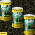 Produktbild: (24,21€/L) Tropical Spirulina 36% Super Forte Granulat 3x 1000ml ( 3x 1L )