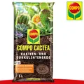 Produktbild: COMPO CACTEA® 5 l Kakteen- und Sukkulentenerde Nährstoffe Boden Topf