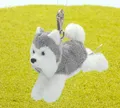 Produktbild: Schaffer Schlüsselanhänger Karabinerhaken Hund Husky 11 cm