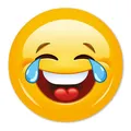 Produktbild: XL Smile-Aufkleber Tears I kfz309 I rund Ø 30 cm I Sticker lachend für Auto Wohnwagen Wohnmobil und mehr I wetterfest