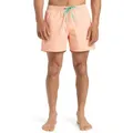 Produktbild: Boardshorts QUIKSILVER 
