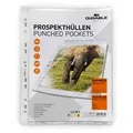Produktbild: DURABLE Prospekthülle BUSINESS A4 PP, Btl. à 100, 267219 - Transparent