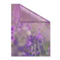 Produktbild: Lichtblick Fensterfolie, Polyvinylchlorid (PVC), Format: 50 x 50 cm (B x L) cm - lila