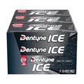 Produktbild: Dentyne Arctic Chill Kaugummi zuckerfrei, 9 Päckchen (insgesamt 144 Stück)
