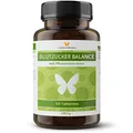 Produktbild: 90 Blutzucker Balance Tabletten für 3 Monate mit Pflanzenextrakten aus hochwertigem Ceylon Zimt, Bockshornklee, Berberin, Chrom Picolinat, Vitaminen und Mineralstoffen (90 Tabletten)