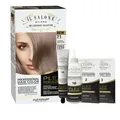 Produktbild: ALFAPARF MILANO Die Salon Plex Rebuilder Color Set 7.1 Blond Asche