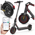 Produktbild: Scoopes E-Scooter Elektroroller UrbanEvo 350W 8,5