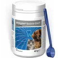 Produktbild: 40 g Orozyme Bucco-Fresh PLAQUEOFF