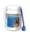Produktbild: Orozyme Bucco-Fresh PLAQUEOFF 40 g Hunde | Katzen | Zahnpflege
