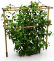 Produktbild: Gusta Garden Rankhilfe BERRY BUDDY, erweiterbares Rankgitter aus Holz, 120cm, Flexible Rankhilfe für Himbeeren, Brombeeren, Heidelbeeren etc.